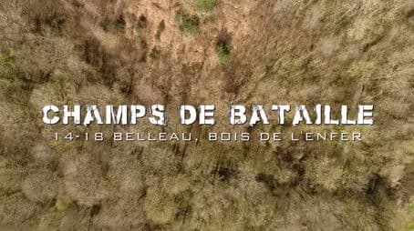 1918 - Belleau Wood of Hell