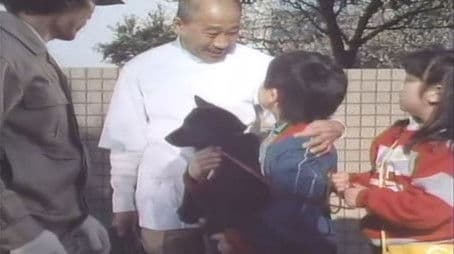 The Puppy Became a Cat