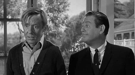 Hazel and the Gardener