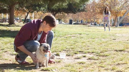 Keep Your Friends Close...