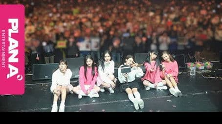 Japan Live Pink Collection