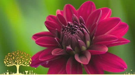 Compilations 2023: Episode 2