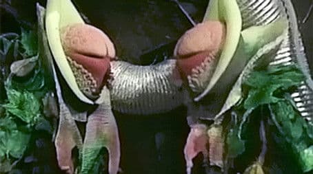 The Trial of a Time Lord: Part 11