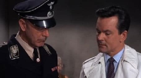 A Tiger Hunt In Paris (2)