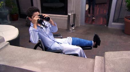 Pain in the Rear Window