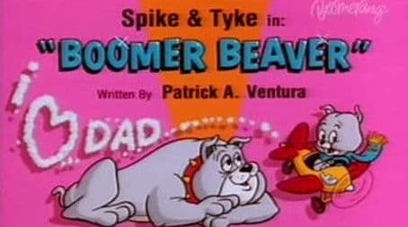 Boomer Beaver