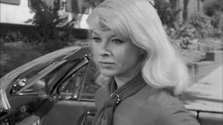 The Case of the Playboy Pugilist