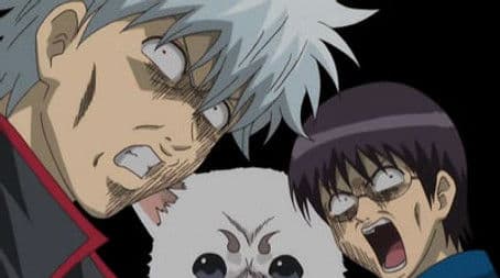 Think for a Minute Now, Do Matsutake Mushrooms Really Taste All that Good?