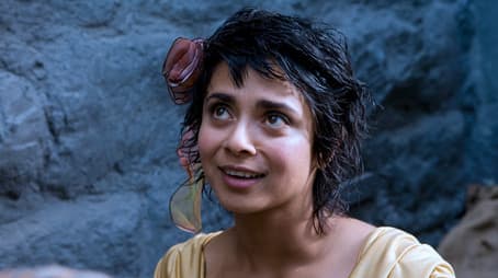 The Booby and the Beast