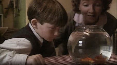 Big Fish, Little Fish