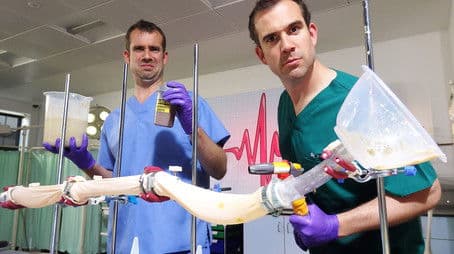 What's in your Diarrhoea?