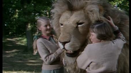 The Lion, the Witch and the Wardrobe (6)