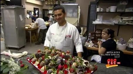 Roses, Romance, & a Romeo