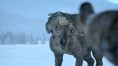 Expect the Unexpected