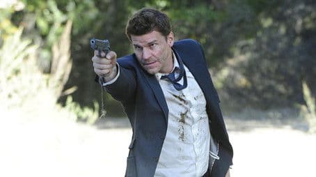 The Bullet in the Brain