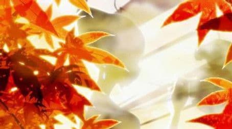 Taking in Fall Colors