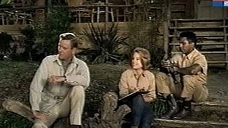 The Elephant Thieves