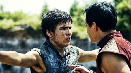 White Stork Spreads Wings