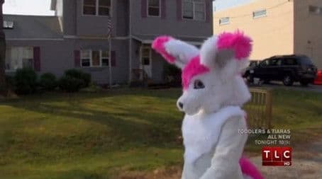 Eats Couch Cushion; Furry