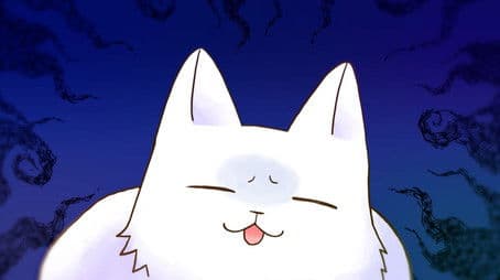 Door-to-door Salescat