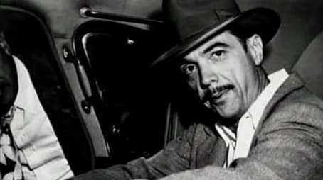 The Great Bridge: 8 Miles of Steel