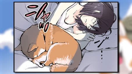 Nightmare / Separation / Someone Who Doesn't Want Multiple Dogs