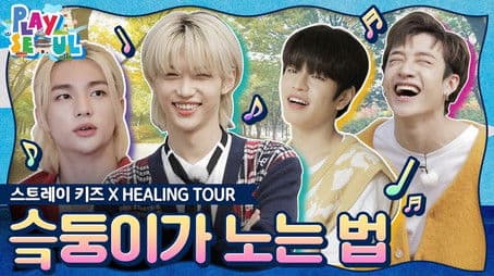 Stray Kids X Healing Tour