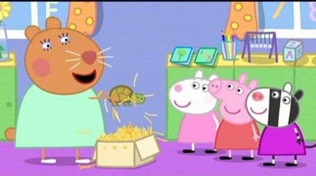 Doctor Hamster's Tortoise