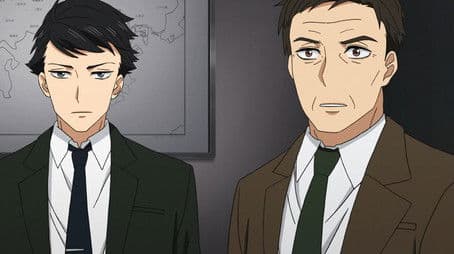 Beneath the Cherry Tree Forest in Full Bloom