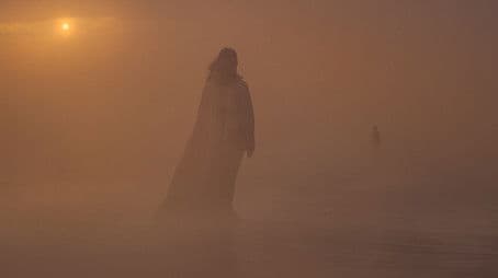 The Blood Runs in the Veins