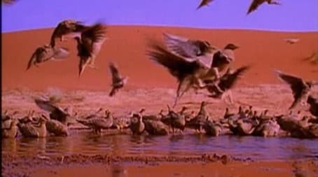 The Limits of Endurance