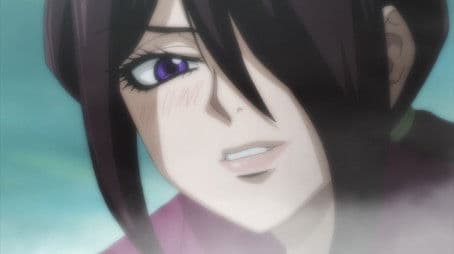 The Cherry Blossoms Have Fallen