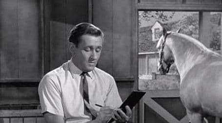 Wilbur Post, Honorary Horse