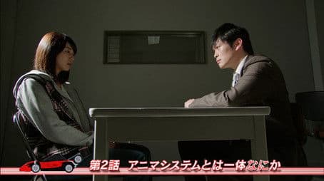 Just What is the Anima System?