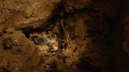 The Bone Caves - Alveston, Gloucestershire