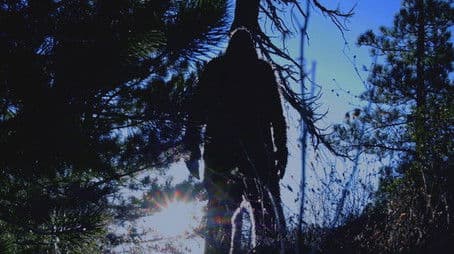 The Top Ten Extraordinary Creatures