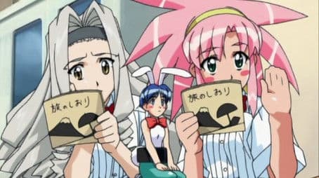 Round 2: Summer Training Camp of Charm