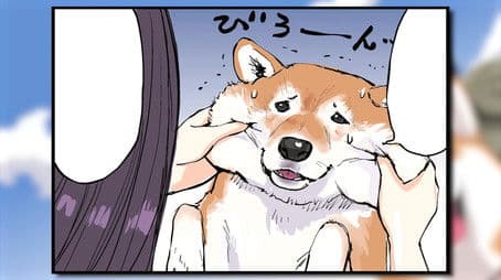 Ontology / Eudaemonics / Wild Dignity