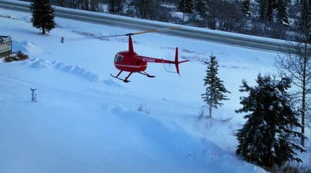 Thanksgiving Day Delay