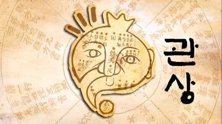 Physiognomy Special: Part 1 / Intro to Jamaica and Milan Project