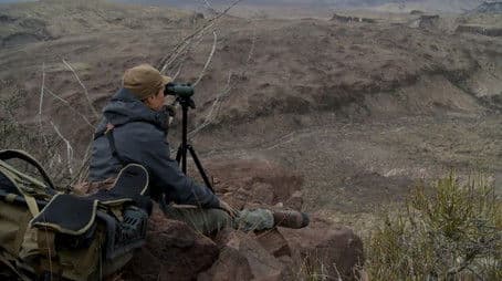 The Roughest Country: Texas Aoudad Sheep