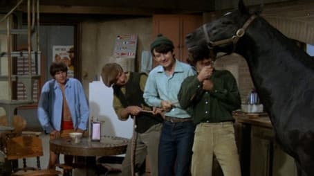 Don't Look a Gift Horse in the Mouth (a.k.a. Gift Horse)