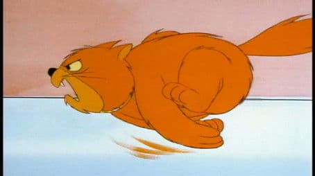 Scooby's Desert Dilemma / The Rare Scare / The Old Cat and Mouse Game / Kitty Sitter / Stowaways / One of Our Aircraft Carriers is Missing