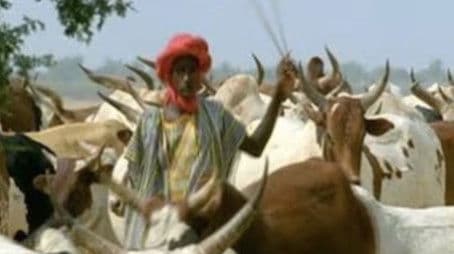 Africa: Love in the Sahel