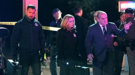 Check In and Check Out