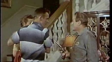 Conversation With an Ape