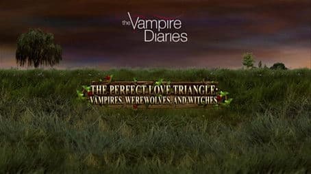 The Perfect Love Triangle: Vampires Werewolves and Witches