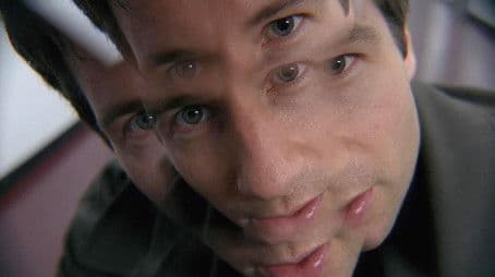 War of the Coprophages