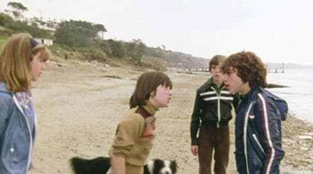 Five Fall into Adventure (1)