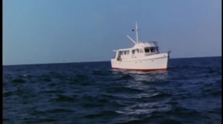 Perfect Fit for a Frame